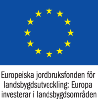 EJFLU-EU-flagga_cmyk_SE